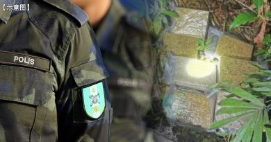 司机见警开车逃 草丛起获30万大麻砖