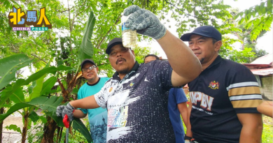 吉蚊症肆虐 瓜拉姆拉县最严重