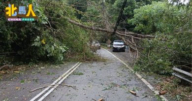 峇都丁宜山路大树倒下 幸无压中车辆 无人伤亡