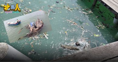 市政厅团队定期清理 姓周桥海域漂浮垃圾