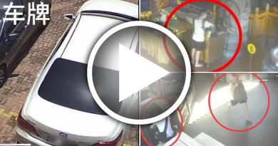 窃贼看中斗母宫 开豪车 偷香油钱