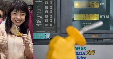 BUDI 95机制｜林慧英：系统或技术错误 民众速查BUDI 95资格