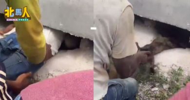小猫疑受困水泥管6天 外籍小哥挺身救它