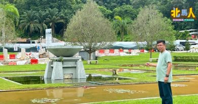 植物园莲花池成“拉茶池” 游客被官网误导 失望而归