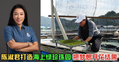 【企业达人】陈淑君致力推广海葡萄 开创绿色价值守护海洋生态