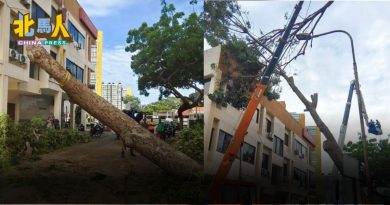 暴雨掀倒大树 压向商业建筑