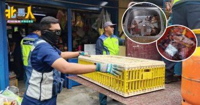 无执照外籍杂货店暗设宰鸡服务　 洗碗盘处一堆鸡毛遭查封