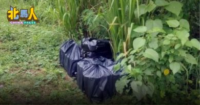 走私酒藏草丛待接应 警埋伏2小时未果仅充公