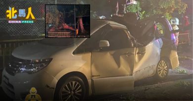 大树倒下压中休旅车 幸无人伤亡