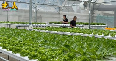 双威嘉年华广场善用空间 空置泊车场变有机菜园