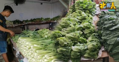 九皇爷诞期间没影响 蔬菜价格由天气决定