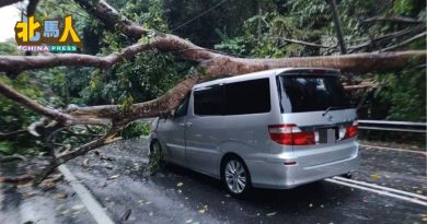 暴风雨袭槟 “大树压顶” 2车遭压 幸无人伤