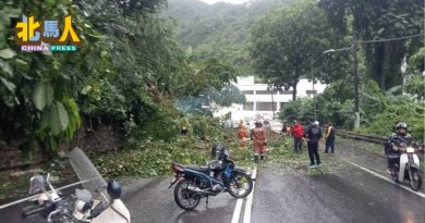 又树倒拦路  垄尾山路暂无法通行