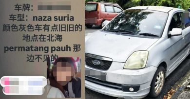 有惊无险！华妇问路被抢车 9岁女儿哭闹脱困