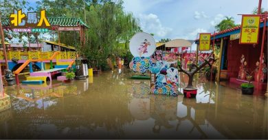豪雨加涨潮  三圣文化村中秋装饰泡水