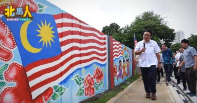 亚依淡500公尺壁画完工 百名师生创作传递爱国情怀