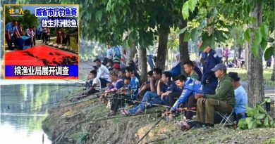 钓鱼赛放生外来鱼种惹议 威省市厅：已钓起75% 水池进出口设网