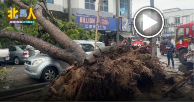今日北马头条︱双溪大年暴风雨 食客吃早餐 车遭大树砸中