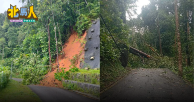 树倒成安全隐忧 亚依淡水坝暂关