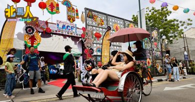 1至8月抵槟游客 空路：印尼冠军 海路：新国榜首