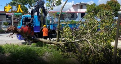 张维宏：威省连日大风雨 市厅至今接16树倒投报
