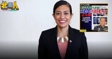 瑟丽娜：恋童案仅靠执法不够　应追究平台与服务商责任　