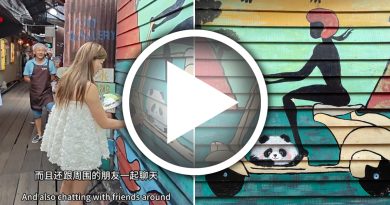 网民误批乱乱画 中国女画家实为 受邀壁画添熊猫