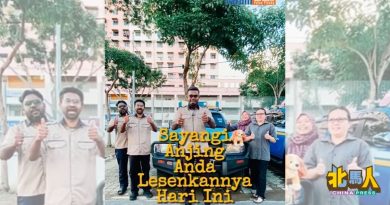 市政厅15日举办公共教育日　 开放狗牌申请与更新服务