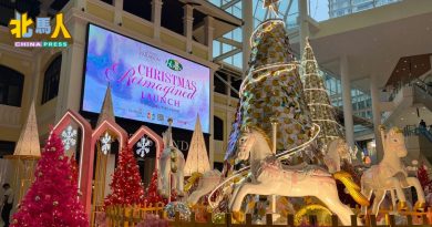 葛尼百丽宫广场 圣诞树亮灯啦！